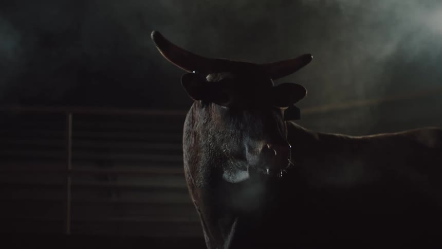 A bulls breath is visible in cold air as it stands near a fence