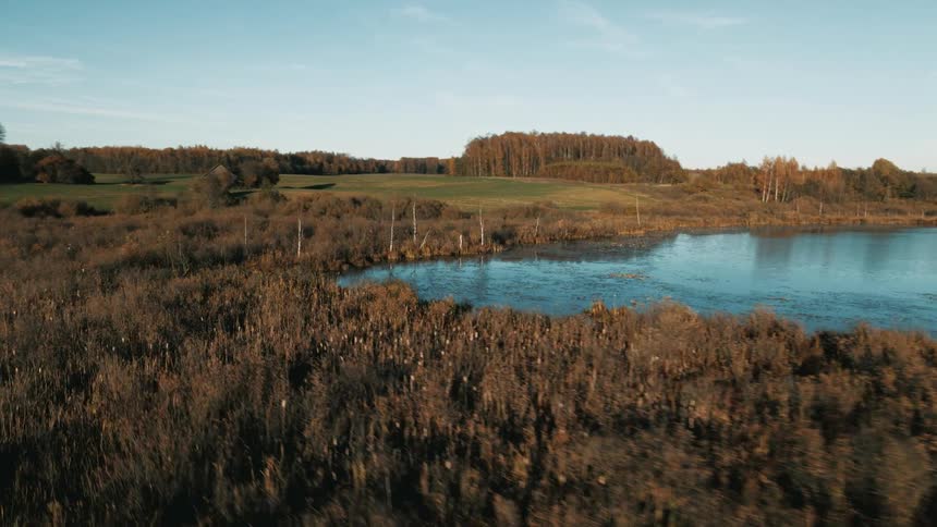 A pond with a grassy field trees the sky and clouds in the background