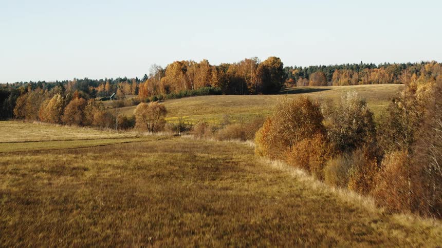 Aerial view of grass and trees on the hills at fall