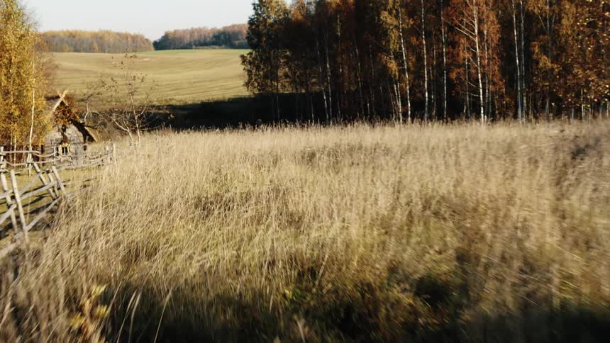 An aerial view flying over some fields and through trees
