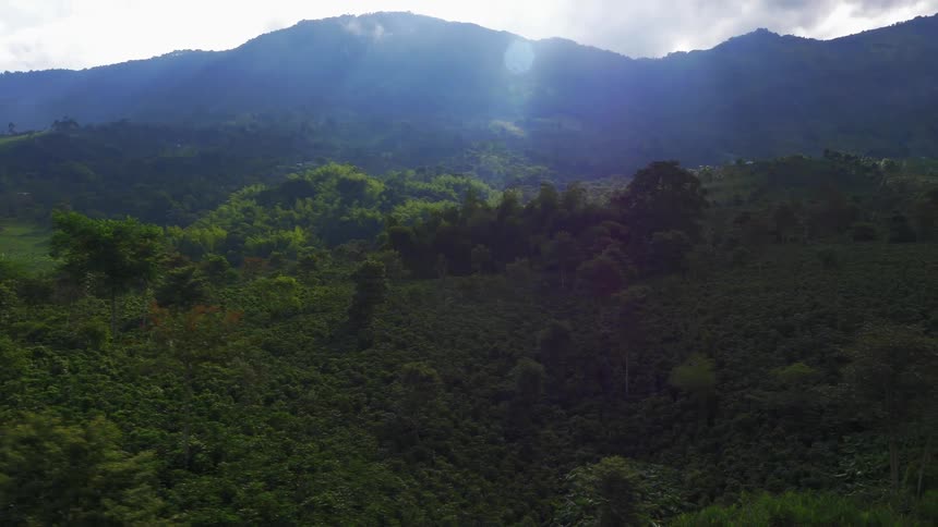 Sunlight shines over mountains behind a forest and hills filled with trees