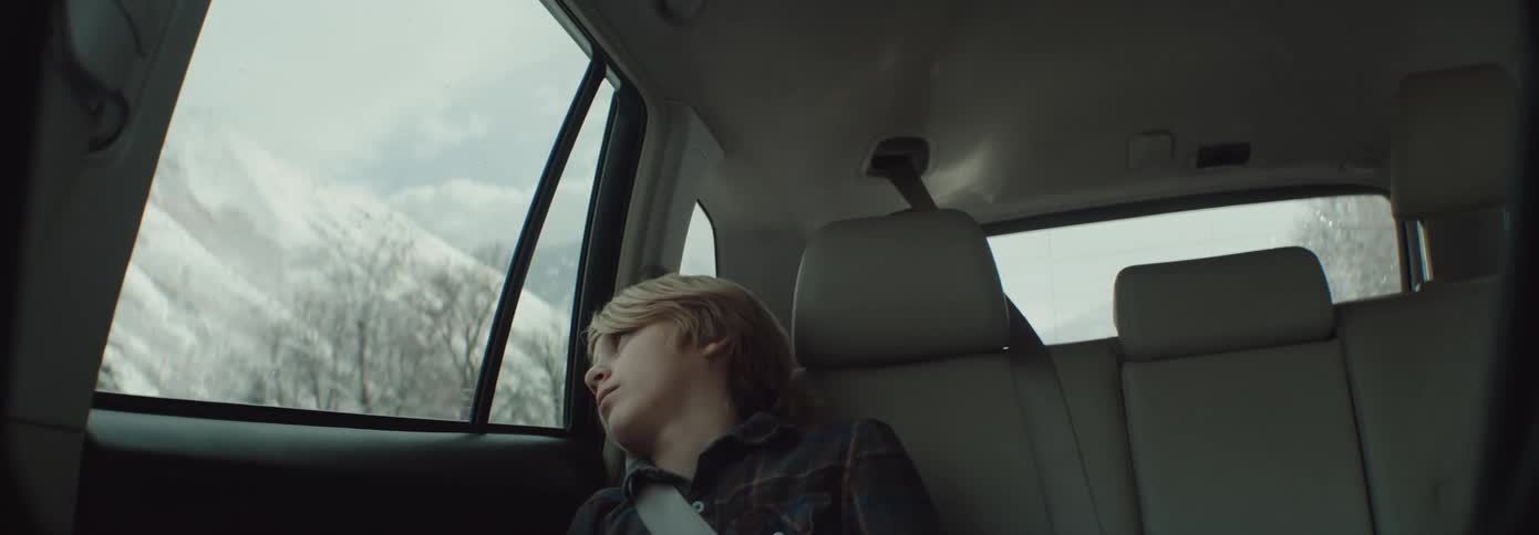A boy is bored as he leans his head against a car window and looks at the passing mountains