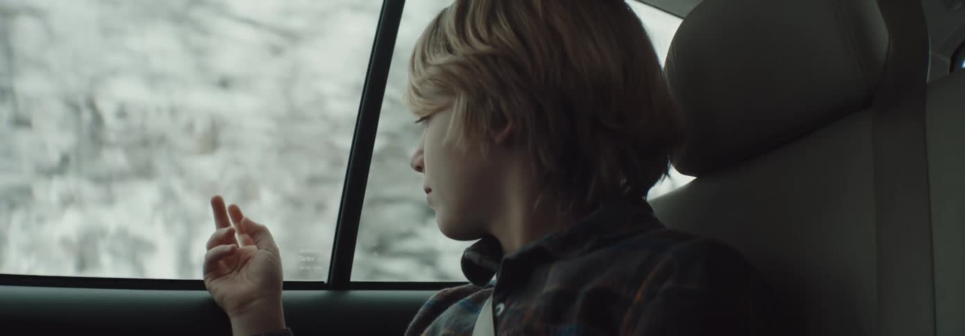 Boy sitting inside a moving car looking out the window at the passing trees