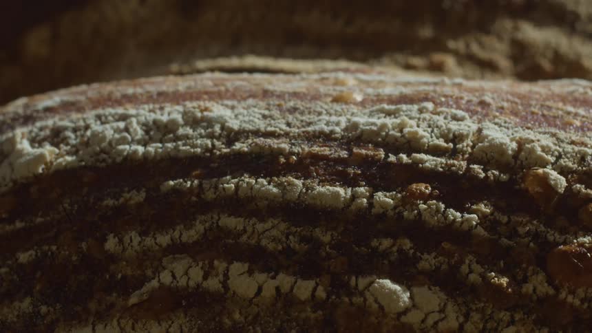 A textured bumpy surface