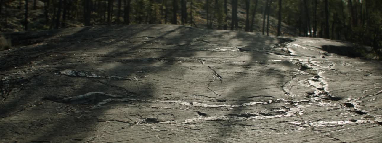 Slate in front of a forest