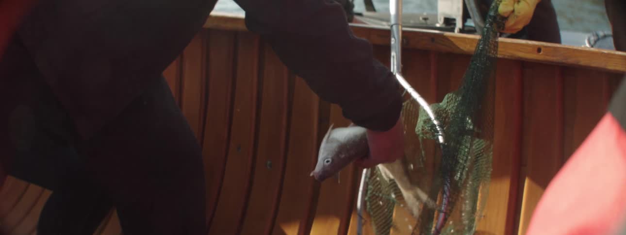 Two men on a boat remove fish from fishing nets