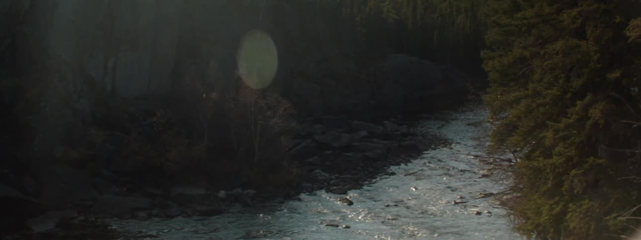 Shallow stream flows between conifer forest covered shores with forest covered mountain in the background