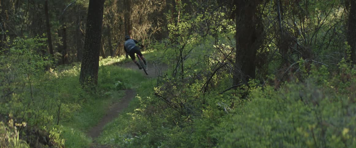 A person mountain bikes through a forest meadow and kicks up dust