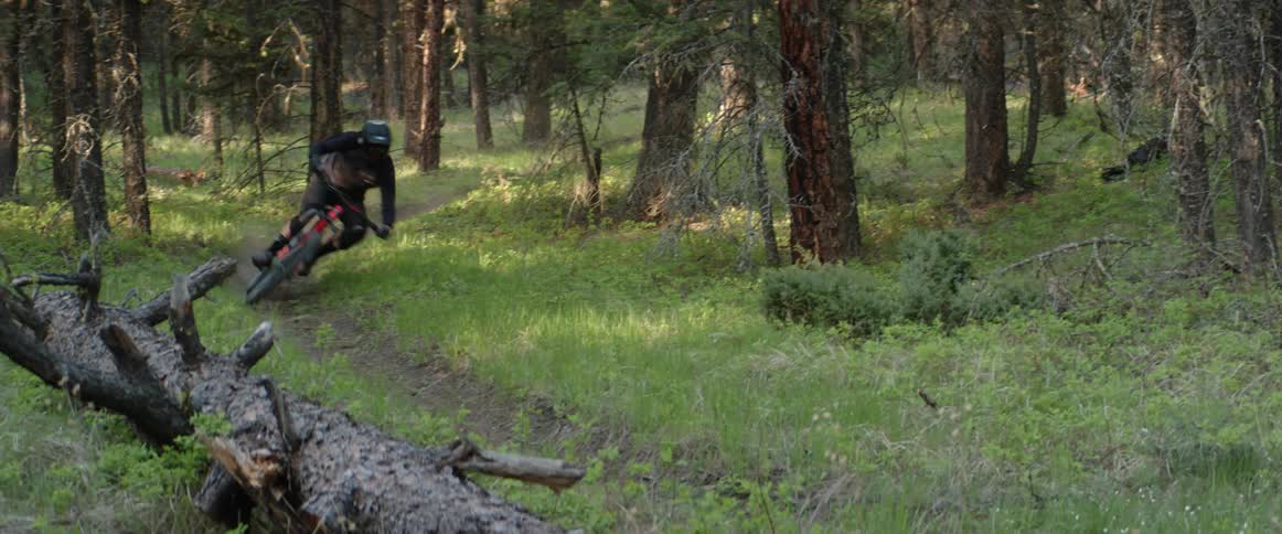 A bicyclist speeds along a curve in a dirt trail in a grassy forest