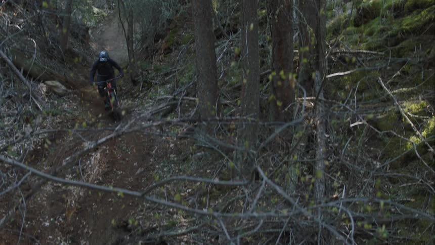A person mountain bikes left and right down a hill in a forest valley