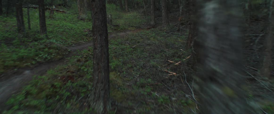 Cyclist rides mountain bike quickly along dirt path through forest