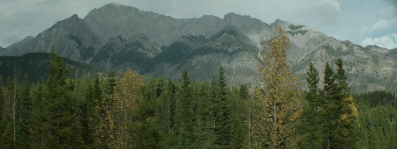 An evergreen forest below a mountain ridge on a cloudy day