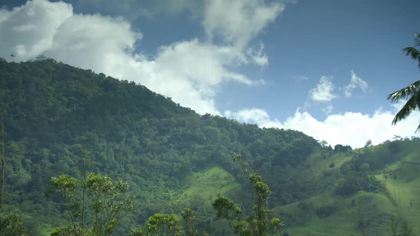 Mountain forest with peaks high in the clouds