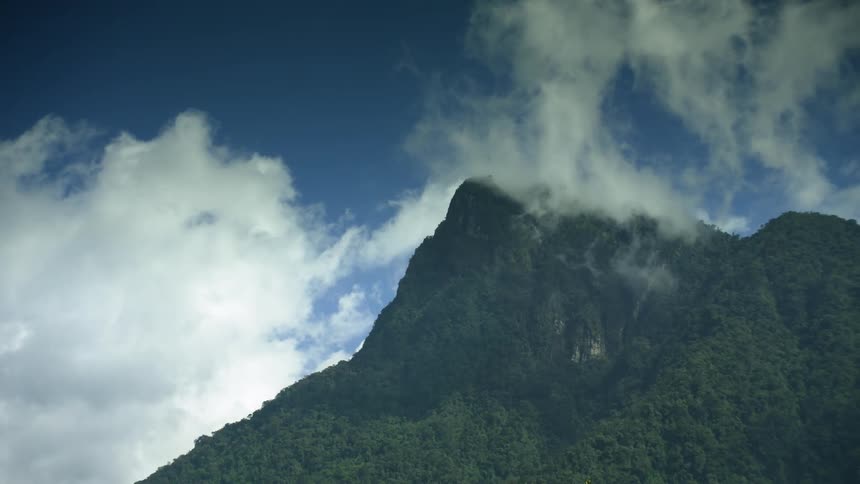 Mountain forest with peak high in the clouds