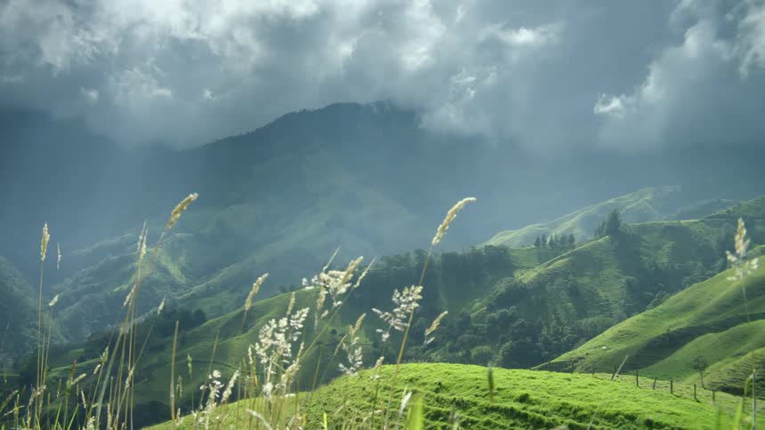 A landscape with plants trees and hills with the sky and clouds in the background