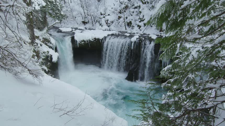 Static shot of a beautiful winter scene with a waterfall, crystal clear water and a massive amount of snow weighing down huge pine trees