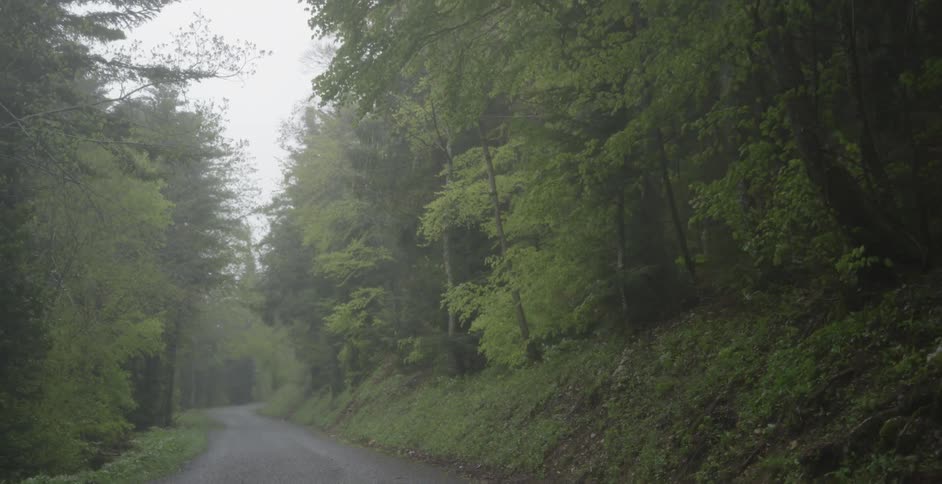 Moving fast down a small road
