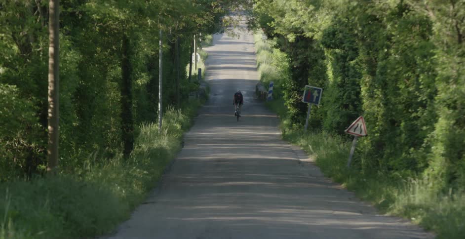 A man bicycling down a tree-lined road