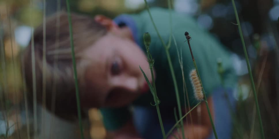 Boy looking at a caterpillar hanging from a twig