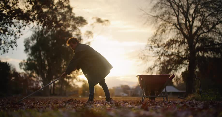 A man raking leaves in the fall