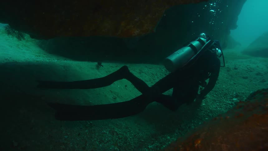 Scuba diver swimming in the green ocean waters over the ocean floor