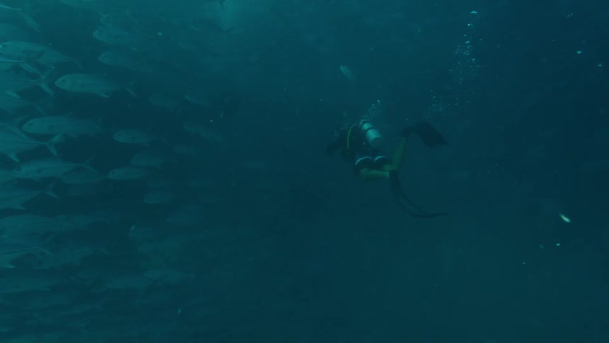 A person swimming underwater with scuba gear with fishes and bubbles