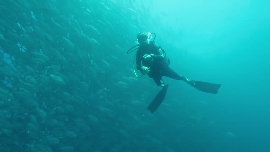 A person with scuba gear swimming in the ocean underwater with school of fishes