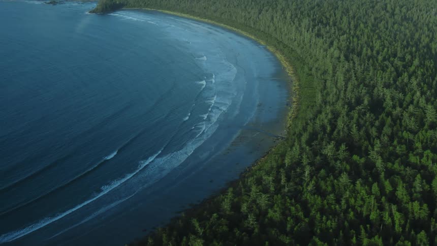 Aerial footage of a lake surrounding by green trees at daytime