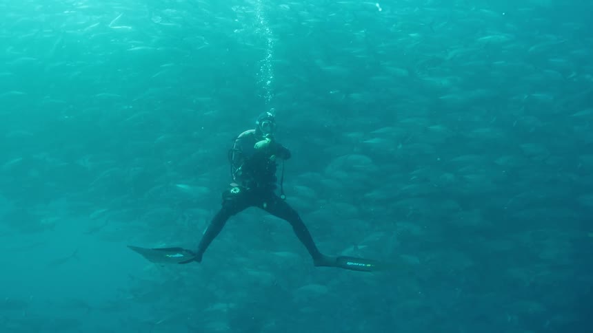 A diver under water as fish swim around