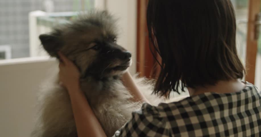 A female petting her dog and the dog licking her face in a room