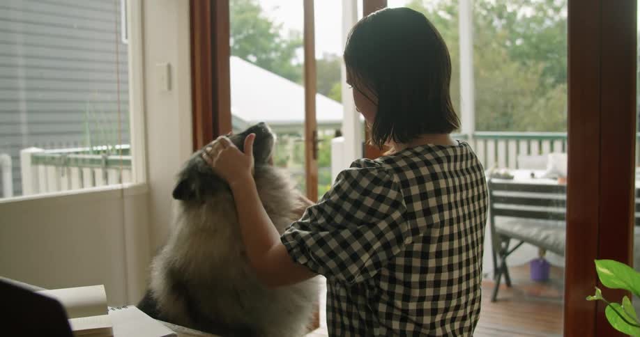 Woman with a plaid shirt strokes the grey dog