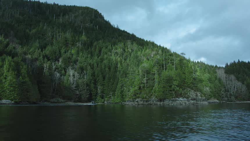 Waves move downstream past a promontory covered with dense green trees
