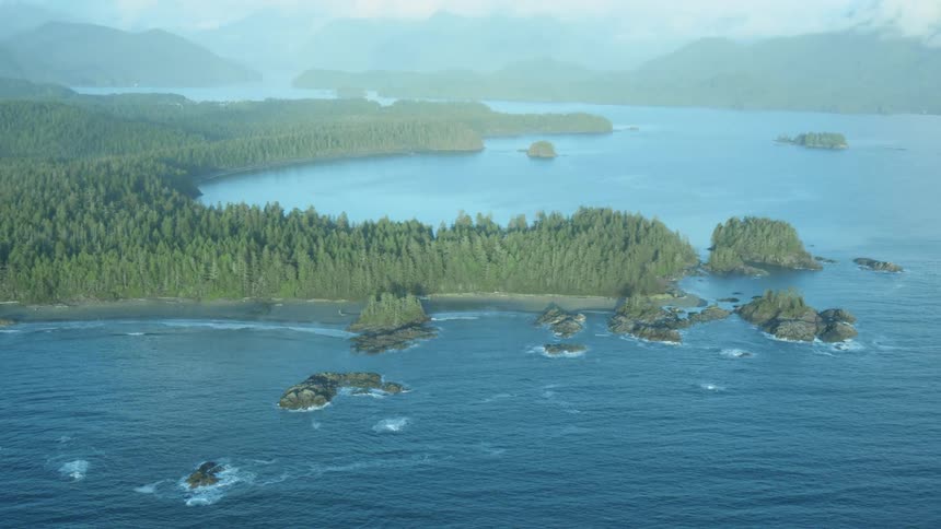 The ocean connects with a bay and inlets that are completely covered in dense forest