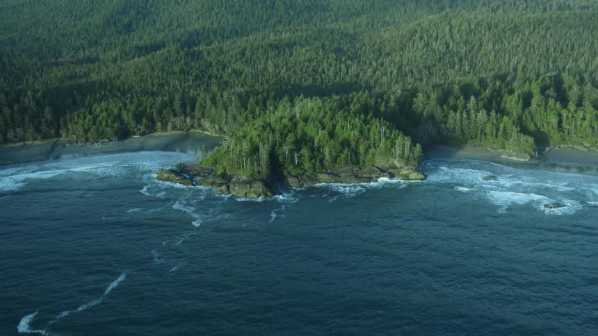 Waves roll in on forested coastline