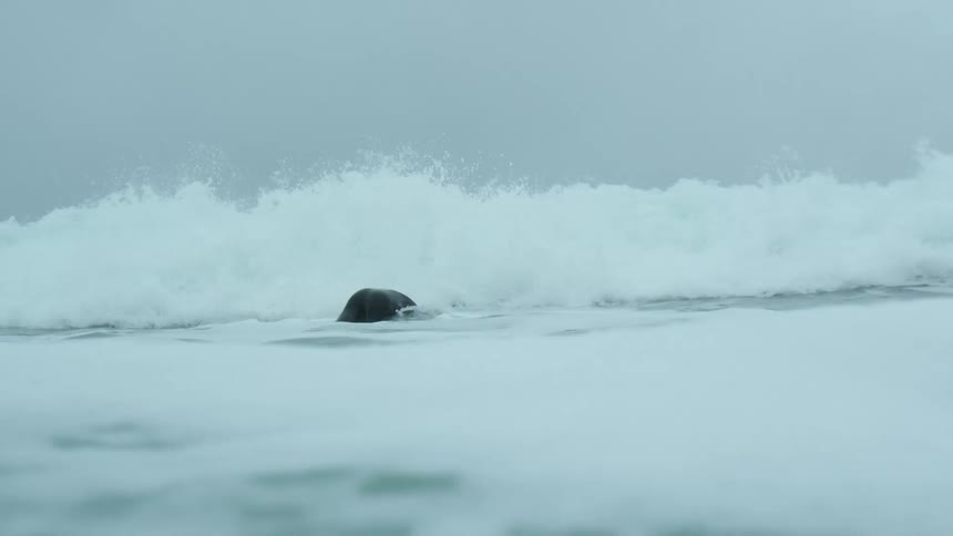 A man dives under a large wave