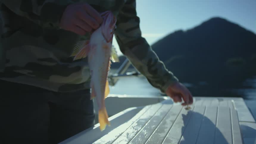 A person places a fish inside a compartment of a boat on a lake