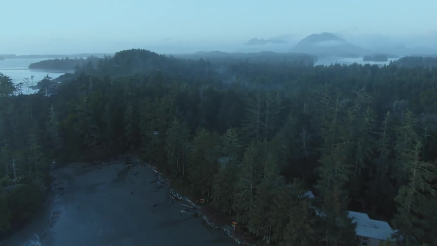 Aerial view of a small town in the pine tree forests near the ocean