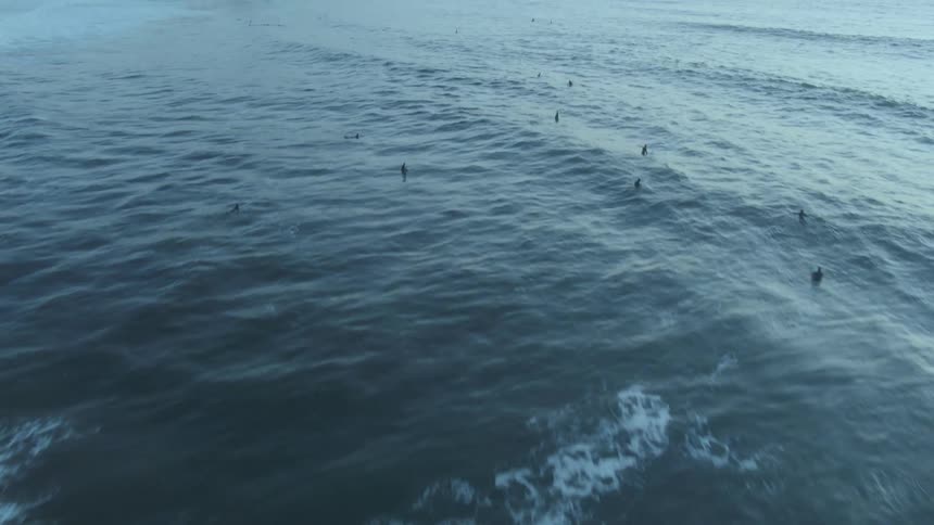 Surfers are all over the ocean water