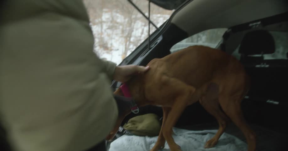 A man putting a sweater on a dog in a parked car on the side of a snowy road