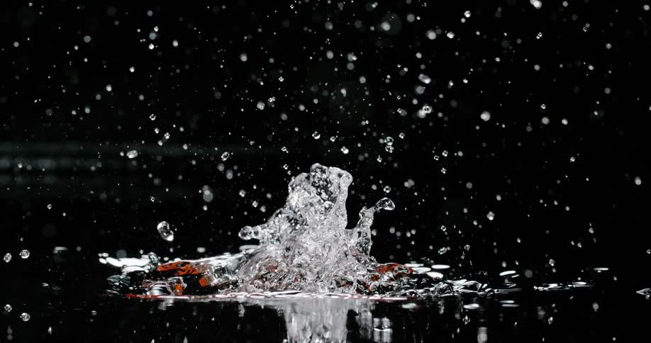 Slow motion of tomatoes dropping in water