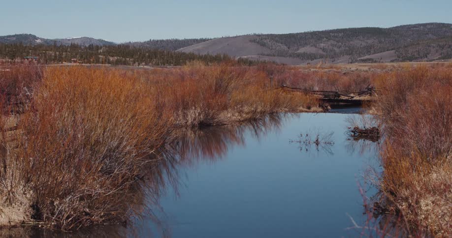 Landscape view of a marsh with plants on the shore