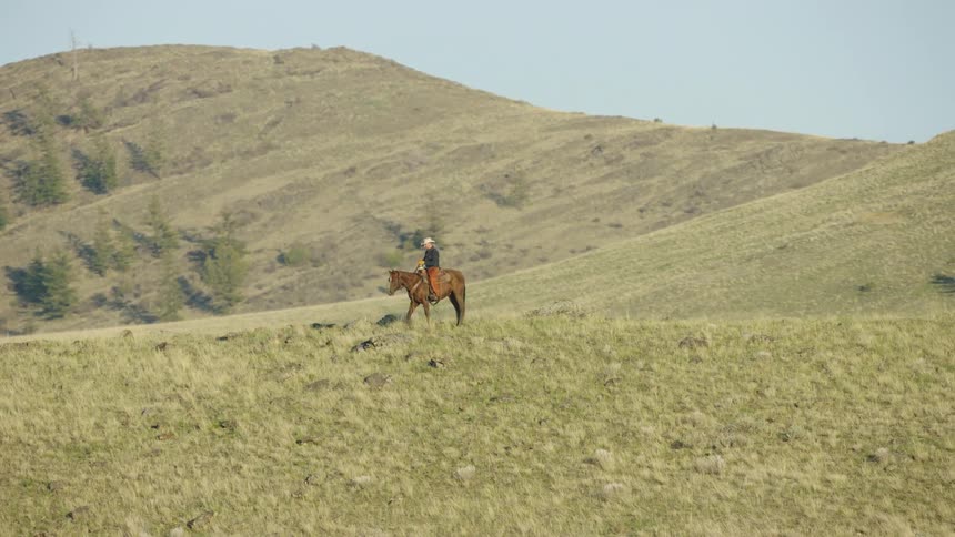 Stunning parallax shot of a cowboy riding his brown horse on a steep ridge deep in the Big Sky Country of rural Montana