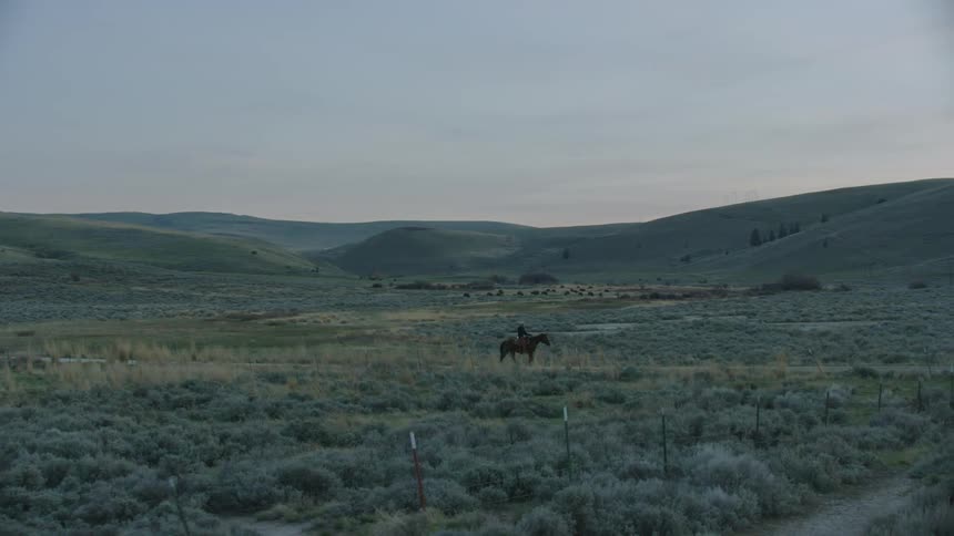 A Montana cowboy riding his horse during the blue hour sunset in a meadow of sage and dry grass
