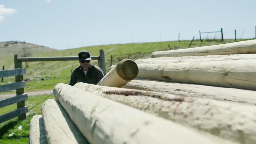 A Montana Buffalo rancher unloads heavy fence posts from a Flatbed pickup truck while working hard in the mountains