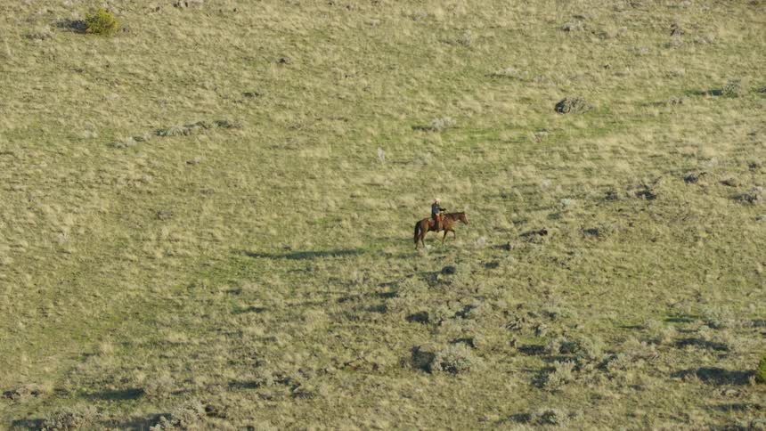 Slow zoom out of a Montana cowboy bison rancher riding his horse up a steep hillside at the end of a hard days work
