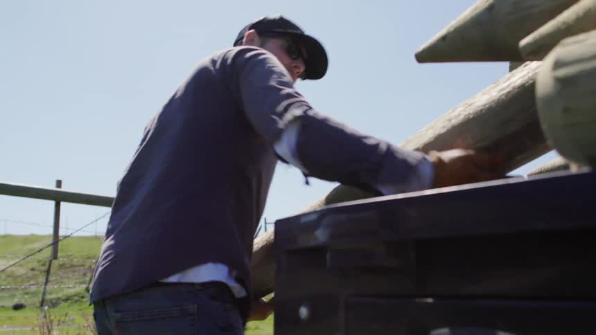 A Montana Bison rancher unloads large fence posts from a flat bed pickup truck under a clear blue sky