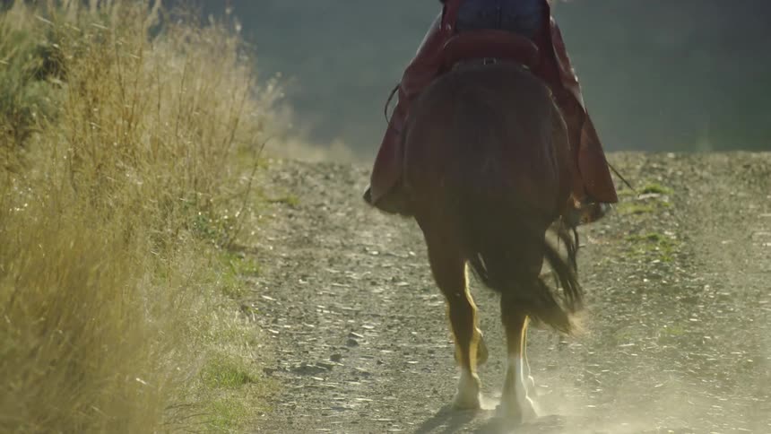 Tight shot of a galloping horse kicking up a lot of dust as it rides up a rolling hill in rural Montana
