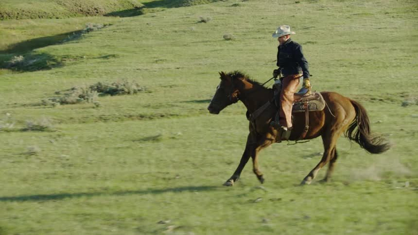 Slow motion shot of a cowboy on a bison ranch galloping on a brown horse in a wide open meadow