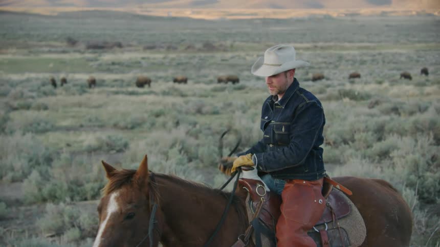 A man with a cowboy hat, jean jacket and gloves with bison in the background get ready to ride into the sunset