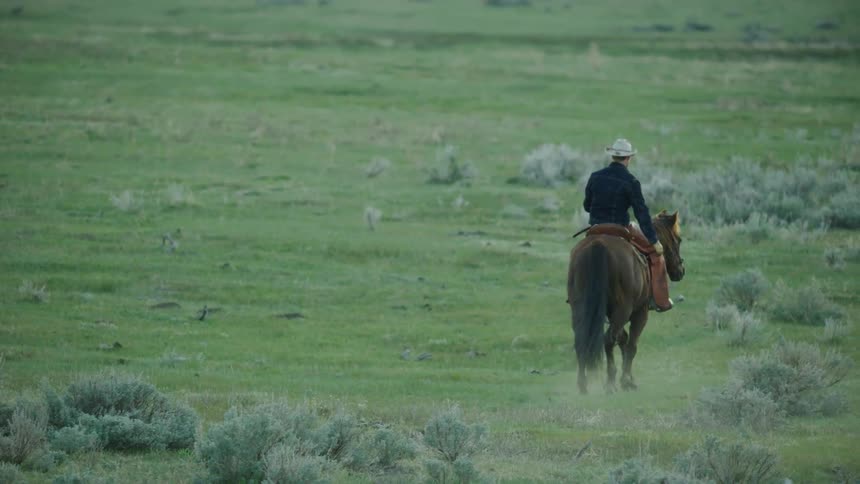 A cowboy riding his horse into pasture after the sun has set in a dusty and sage brush filed meadow